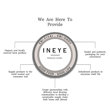 INEYE brand information card