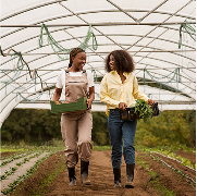 Farming Business